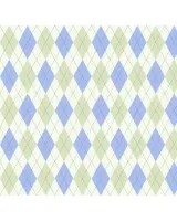 TECIDO CALDEIRA TRAPEZIO COR 10