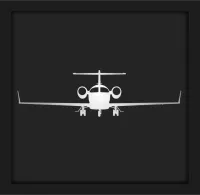 Learjet 45