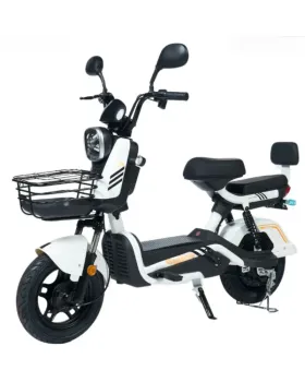 SCOOTER ELÉTRICA 800w 