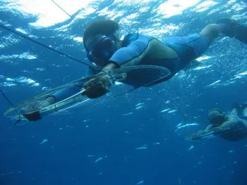 Prancha Plana Sub Em Acrílico Transparente