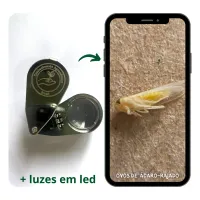 Estojo do Agrônomo - Pazinha, lupas, guia e chave + brindes - Foto 5