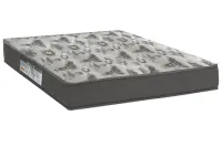 Colchão Casal Iso 100 D33 + Eps  Ortopédico resitente Bioflex Promoção 27  cm