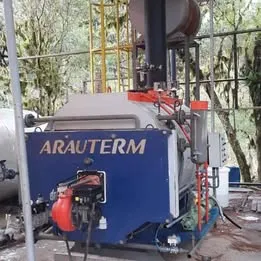 Caldeira a gás Arauterm 1000 kcal / h Imagem
