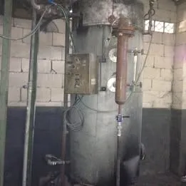 Caldeira a Gas 12 kcal/h - 110 kg vapor