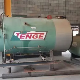 Caldeira a gas/oleo tenge 2 ton Imagem
