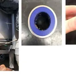 Conjunto Evisceradora Meitech 14000 / h - 2013 Imagem