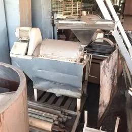 Despolpadeira 100 Kg