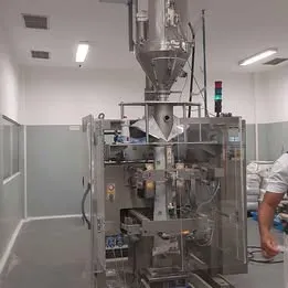 Envasadora empacotadora Masipack VS 400 Imagem