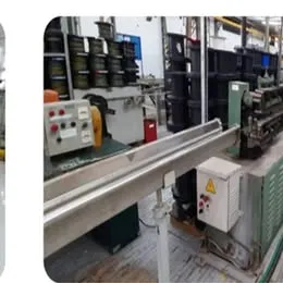 Extrusora EW60 – 60 mm - BORGMAR – EX-SE-01