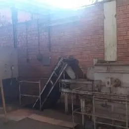 Forno contínuo com tanque de óleo e lavadora - 100 kg/h.