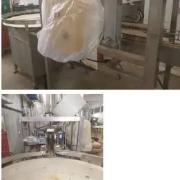 SISTEMA DE ENVASE DE SALMOURA + FECHADORA DE TAMPAS Imagem