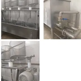 Tacho de cozimento e centralização da gema dos ovos de codorna Imagem