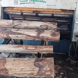 Torno desfolhador para madeira reflorestarda Beneck