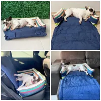 KIT com PEITORAL - Cama/Protetor para o sofá/carro 3 em 1 IMPERMEÁVEL + Tapete americano + Cinto + Peitoral com Guia - Foto 7