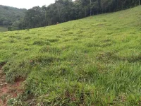 Vende-se terreno  em Itaverava - Foto 6