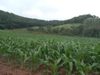 Vende-se terreno  em Itaverava - Foto 7