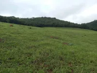 Vende-se terreno  em Itaverava - Foto 9