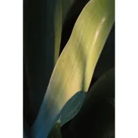 Lente Tokina SZ 300 f/7.1 Pro Reflex MF CF p/ Sony E - Foto 5