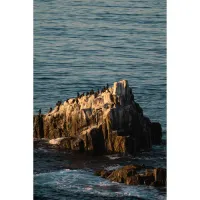 Lente Tokina SZ 300 f/7.1 Pro Reflex MF CF p/ Sony E - Foto 8