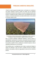 875 - Geografia - Brasil no Mundo - Problemas Ambientais Brasileiros - 9º ano - PDF com 16 páginas - Foto 2