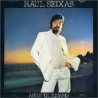 VINIL RAUL SEIXAS ABRE TE SESAMO - 1980 SEM ENCARTE (PRODUTO USADO - MUITO BOM)