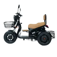 TRICICLO JOY TRI 600W   - Foto 2