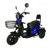 TRICICLO JOY TRI 600W   - Foto 3