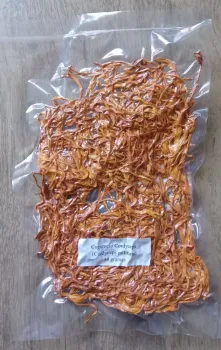Cogumelo Cordyceps (Cordyceps militaris) desidratado embalado à vácuo - 10 gramas - Foto 2