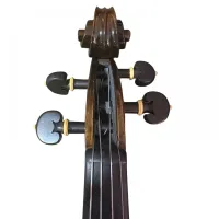 VIOLA 41 ROLIM JA MASTER IMPORTADA ENVELHECIDA - Foto 5