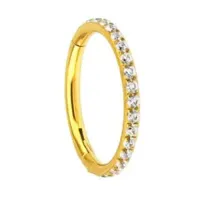 Argola Slim CONCH em Aço PVD GOLD CRAVEJADA ZIRCONIA Clicker 1.2mm PVD10