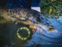 Vision - Carretilha  Hero 7/9  - Foto 3