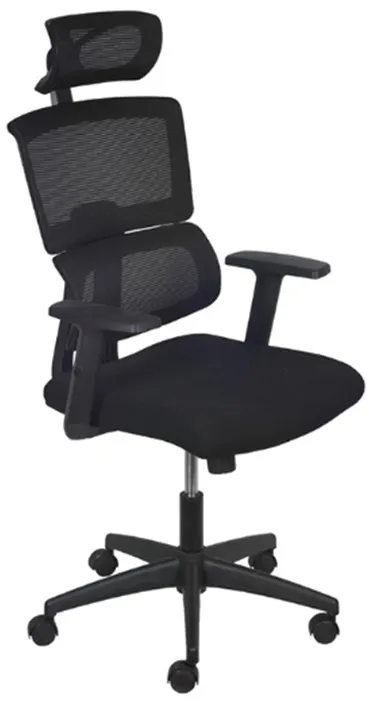 Poltrona Presidente Tela Imagem