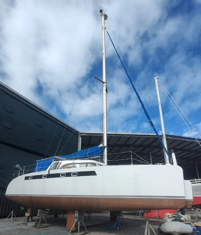 DOLPHIN – 42 PÉS – ANO 2013 Imagem