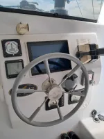 DOLPHIN – 42 PÉS – ANO 2013 - Foto 18