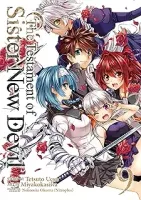 THE TESTAMENT OF SISTER NEW DEVIL VOLUME 9 (PRODUTO USADO - MUITO BOM)
