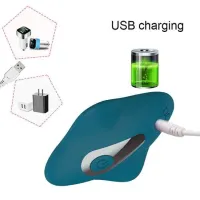 Vibrador de Calcinha Controle Remoto USB - 7624 - Foto 6