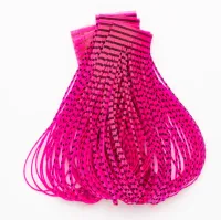 Wapsi - Pernas Sili Legs