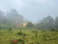 Vende-se fazendinha em Sobrado, Monsenhor Isidro; - Foto 13