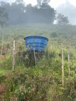 Vende-se fazendinha em Sobrado, Monsenhor Isidro; - Foto 16