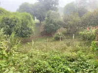 Vende-se fazendinha em Sobrado, Monsenhor Isidro; - Foto 18