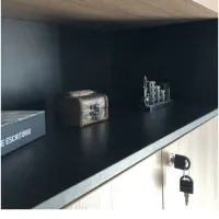 Armário Alto Tamburato 50mm com Duas Portas e Nicho - Foto 9