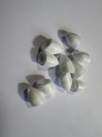 Zur  - Cabeça Popper  - Foto 2