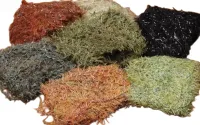  Hareline - Woolly Chenille LO - Foto 2