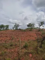 Vendem-se chácaras em Lobo Leite/Congonhas. - Foto 5