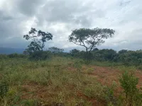 Vendem-se chácaras em Lobo Leite/Congonhas. - Foto 8