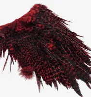  Hareline - Penas Grizzly Saddle 