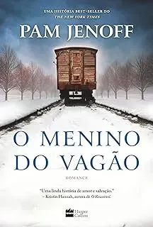 O MENINO DO VAGAO (PRODUTO USADO - MUITO BOM)