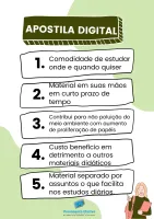 Apostila TCE PE Auditor Auditoria Tecnologia da Informação 2025 - Foto 3