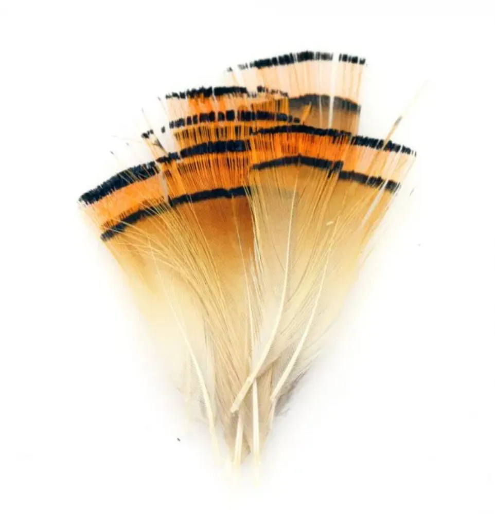 Hareline  - Penas Golden Pheasant Imagem