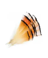 Hareline  - Penas Golden Pheasant - Foto 2